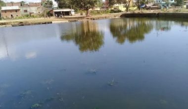 तालको संरक्षण गर्दै उपमहानरपालिका