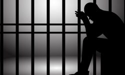 पाकिस्तानी नागरिक हईलाई थुनामुक्त गरी स्वदेश पठाउन आदेश