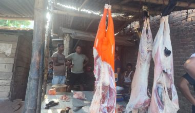 अनुगमनका क्रममा हानिकारक चम्पाइरङ प्रयोग भएको मासु जफत