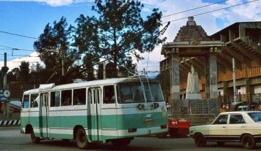 ट्रलिबस : जोगाउन नसकिएको एउटा इतिहास