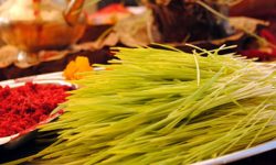 दसैँ आइसक्यो, रित्तो गोजी, रित्तै छ भकारी, परान खाइसक्यो…