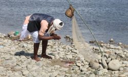 माझी समुदायलाई रोजीरोटीकै पिरलो