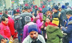 पाथीभरामा एकै दिन साढे आठ हजार दर्शनार्थी