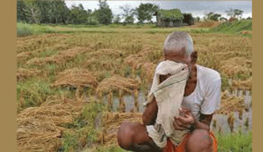 विपत्ले ३० वर्षमा ३८ खर्ब डलरको बाली नोक्सान
