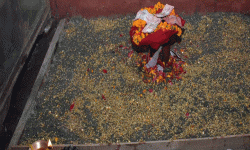 आजदेखि बडादसैँ सुरु, बिहान ११:२९ मा घटस्थापनाको उत्तम साइत