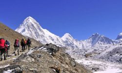 अन्नपूर्ण पदमार्गमा पर्यटकको चहलपहल