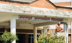 भरतपुर अस्पतालमा बडादसैँका दिन जन्मिए २० शिशु