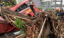 श्रीलङकामा बसमा रुख खस्दा पाँचको मृत्यु