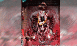 शक्ति भन्नु नै हो स्त्री (देवी) अवतार