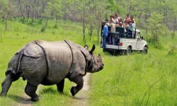 चितवन राष्ट्रिय निकुञ्जमा जीप सफारी खुला