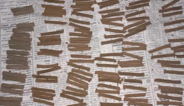 गाईको गोबरबाट धुपबत्ती र दियो बनाउन थालियो