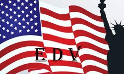 खुल्यो डिभी