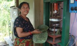 प्लास्टिकजन्य सामग्री विस्थापित गर्न टपरी उद्योग सञ्चालन