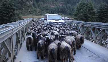 बजार झरे मुुस्ताङी च्याङ्ग्रा