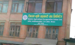 काभ्रेमा आठ सय ४९ सहकारी ‘अज्ञातअवस्थामा’ : प्रतिवेदन