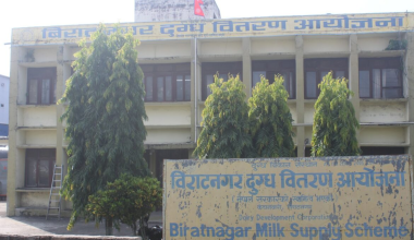 डिडिसीमा भुक्तानी समस्या, किसानले तीन महिनादेखि दूध बेचेको पैसा पाएनन्