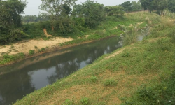 वीरगन्ज महानगरको चुनौती बन्यो सिर्सिया नदी प्रदूषण