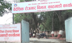 शंकास्पद कागजात पेश गरेर श्रम स्वीकृति लिएका १४ म्यानपावर कम्पनी निलम्बनमा