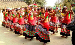 थारु बस्तीमा सखिया नाचको रौनक