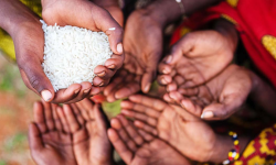 दक्षिणी सुडानबाट फर्किएका हजारौँ नागरिक भोकमरीको जोखिममा : राष्ट्रसङ्घ