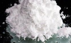 भेनेजुएलाद्वारा १० भन्दा बढी कोकिन बरामद