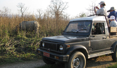 दशैंमा २० हजारले घुमे चितवन निकुञ्ज, १ करोड ८५ लाख राजश्व संकलन