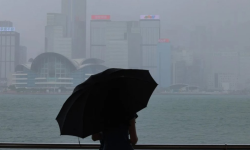 ताइवानमा कोइनु आँधीबाट १९० घाइते