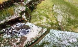 बैतडीमा असिनापानीले बालीनाली सखाप