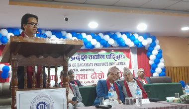 अर्थतन्त्र सुधारका लागि कत्ति ढिलो नगर्न उद्योग परिसंघ अध्यक्षको अपिल