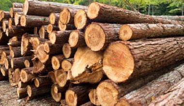 काठको चोरी नियन्त्रण गर्न सक्रियता