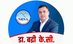 एनआरएनएको अध्यक्षमा डा. बद्री केसी निर्वाचित