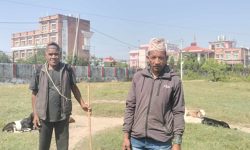 खसीबोका बिक्री भएनन्