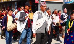 हराउँदै मौलिक भाका