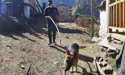 मुगु हत्याकाण्डको सघन अनुसन्धान हुँदै छ : प्रहरी