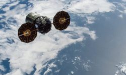 पहिलो पटक अन्तरिक्षमा मुसाको भ्रूणको विकास