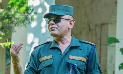 महानगर प्रहरी प्रमुखमा पाण्डेको वढुवा