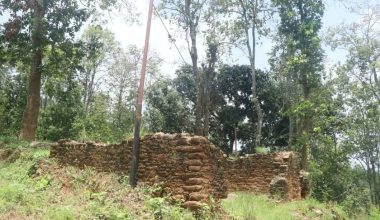 शिलान्यास भएको सात वर्षपछि भानुगृह निर्माण हुँदै