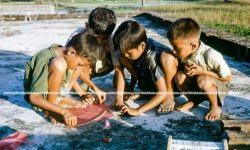 दशै आयो चंगा उडाउने होइन ?