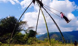 डाँडा र चौतारा सुनसान : हराउँदै लिङ्गे पिङ