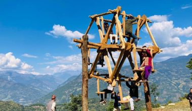 हराउदै चर्खे पिङ, संरक्षणमा छैन चासो