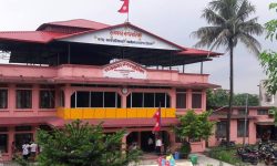 चाडपर्वमा प्लास्टिकका फूल र माला बिक्रीमा रोक