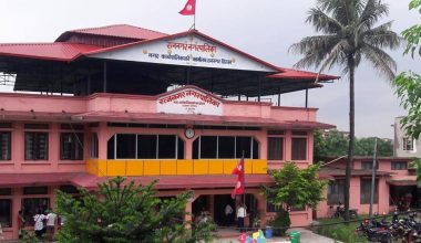 चाडपर्वमा प्लास्टिकका फूल र माला बिक्रीमा रोक