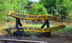 पुनःस्थापनाको पर्खाइमा आरक्ष विस्थापित