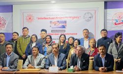 बौद्धिक सम्पत्ति संरक्षणबारे चेम्बरले दियो युवा व्यवसायीलाई प्रशिक्षण