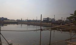 जनकपुरधाममा छठको तयारी