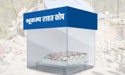 प्रधानमन्त्री सहायता कोषमा साढे ८ करोड संकलन