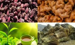 अढाई अर्बको चिया र सवा अर्बको अलैँची निर्यात