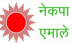 एमालेको चियापन सुरु