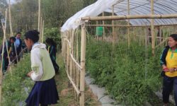 भोजपुरका विद्यार्थीको रोजाइमा प्राविधिक शिक्षा