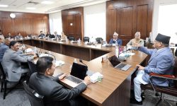 नेपाली सेनाका रथी पाण्डे र ऊर्जा सचिव घिमिरेको राजीनामा स्वीकृत